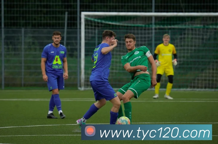 多媒体互动体验